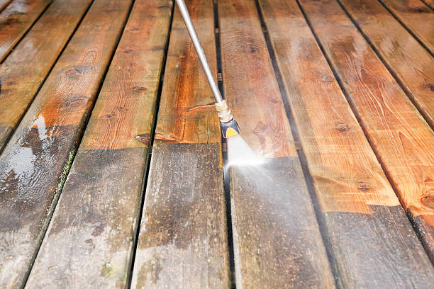 Best Residential Pressure Washing Services  in Badger, AK